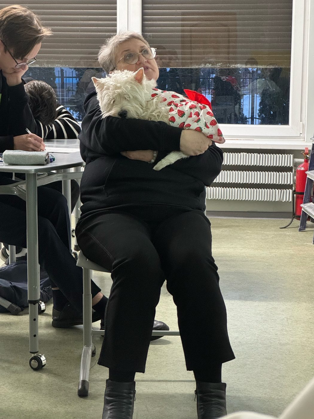The teacher explaining a solution, holding her dog